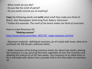 - What smells do you like?
- Do you like the smell of petrol?
- Do any smells remind you of anything?
Copy the following words and write what smell they make you think of:
Beach, Zoo, Newspaper, Swimming Pool, Bakery, Classroom
* Follow this example: The smell of the beach makes me think of sunscreen.
How to make Rosemary Oil.
“Making essence”
http://www.ehow.com/video_4871747_make-rosemary-oil.html
- Necessary material: defoliated rosemary, jar of crystal with cover, olive oil or
sunflower oil, felt-tip pen, adhesive labels.
- Make rosemary oil by drying rosemary leaves for about two weeks, placing
the rosemary in a jar, pouring flavorless vegetable oil over the rosemary and
allowing the mixture to sit for two weeks. Use rosemary oil as salad dress or
for a marinade with advice from a private chef in this free video on rosemary
oil.
 