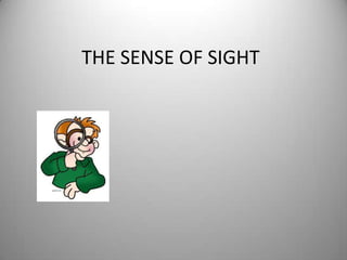THE SENSE OF SIGHT
 