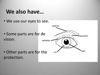 We also have…
• We use our eyes to see.
• Some parts are for de
vision.
• Other parts are for the
protection.
 