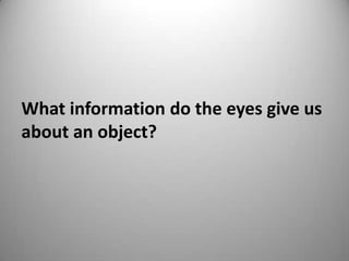 What information do the eyes give us
about an object?
 
