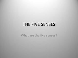 THE FIVE SENSES
What are the five senses?
 