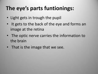 The eye’s parts funtionings:
• Light gets in trough the pupil
• It gets to the back of the eye and forms an
image at the retina
• The optic nerve carries the information to
the brain
• That is the image that we see.
 