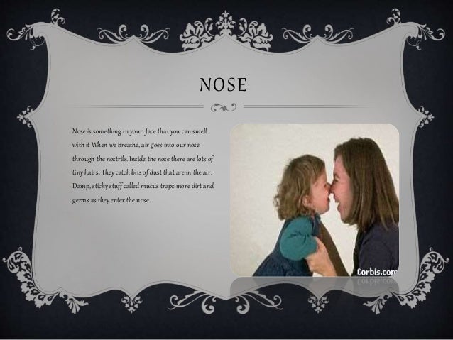 What Is The Five Senses