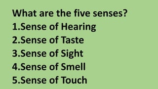 The Five Senses.pptx