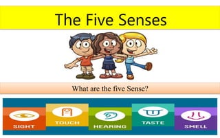 The Five Senses
What are the five Sense?
 