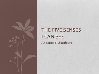 THE FIVE SENSES
I CAN SEE
Anastacia Meadows
 