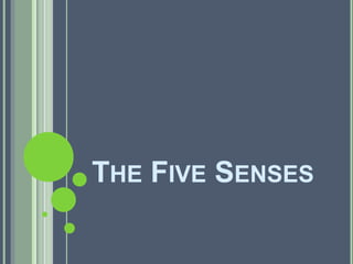 The Five Senses ,[object Object]