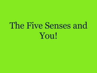 The Five Senses and You! 