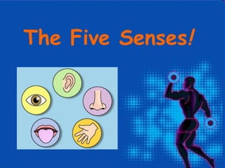 The Five Senses!
 