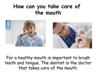 How can you take care of
           the mouth




 For a healthy mouth is important to brush
teeth and tongue. The dentist is the doctor
       that takes care of the mouth.
 