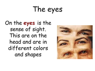 The eyes
On the eyes is the
  sense of sight.
 This are on the
 head and are in
 different colors
    and shapes
 