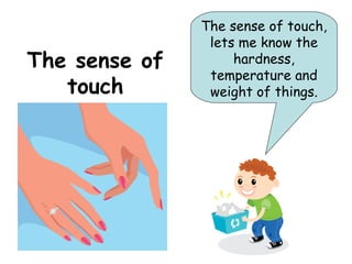 The sense of touch,
                lets me know the
The sense of        hardness,
                temperature and
   touch        weight of things.
 