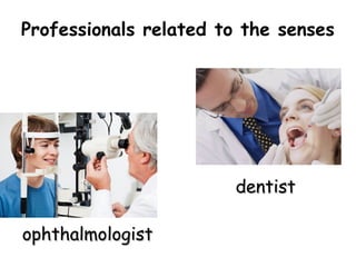 Professionals related to the senses




                      No introducir objetos en
                             tus oídos.




                        dentist

ophthalmologist
 