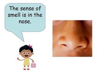 The sense of
smell is in the
    nose.
 