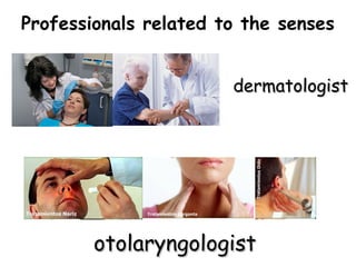 Professionals related to the senses


                       dermatologist




        otolaryngologist
 