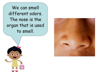 We can smell
 different odors.
 The nose is the
organ that is used
     to smell.
 