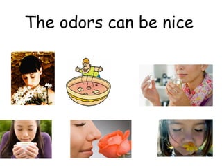 The odors can be nice
 