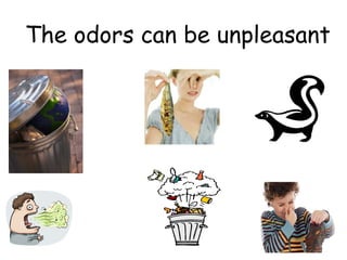 The odors can be unpleasant
 