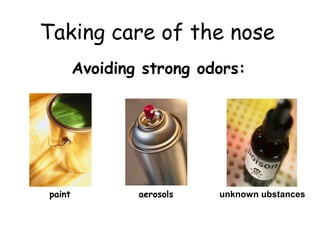 Taking care of the nose
        Avoiding strong odors:




paint           aerosols   unknown ubstances
 