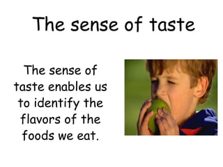 The sense of taste

  The sense of
taste enables us
 to identify the
 flavors of the
  foods we eat.
 