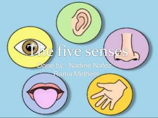 The five senses
Done by : Nadine Nafez ,
Rama Melhem
 