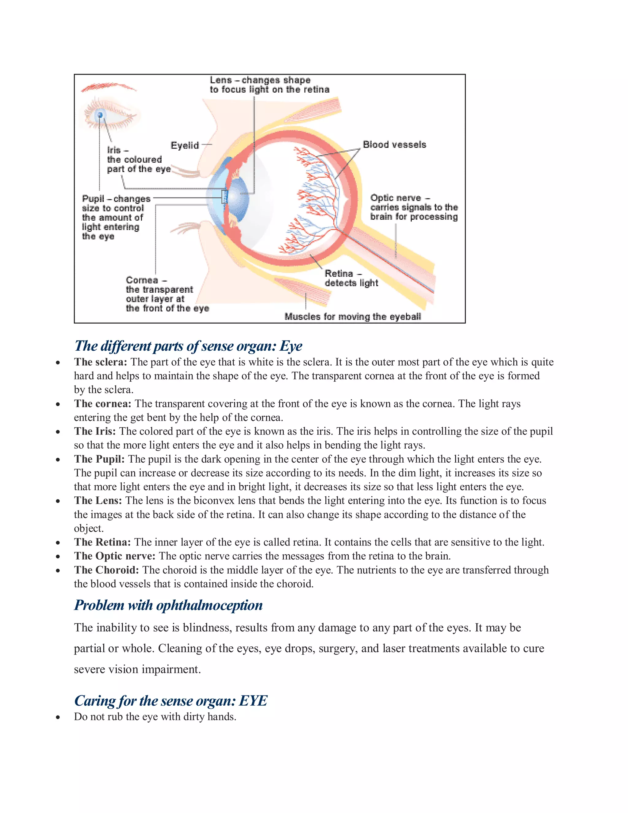 The Five Senses Of The Human Body PDF The Five Senses Of The Human Body PDF