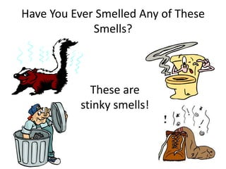 The five senses powerpoint | PDF