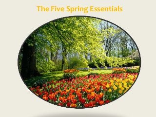 The Five Spring Essentials
 