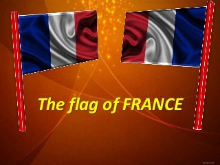 The flag of FRANCE 
 