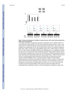 Figure 4. Quercetin maintains the viability of colorectal cancer cells treated with nocodazole but
delays cell cycle progr...