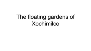 The floating gardens of
Xochimilco
 