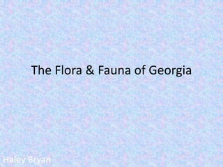 The Flora & Fauna of Georgia 
Haley Bryan 
 