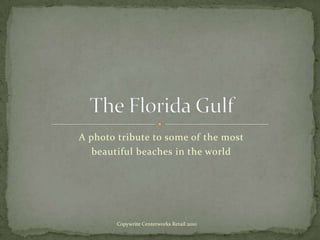 A photo tribute to some of the most  beautiful beaches in the world The Florida Gulf Copywrite Centerworks Retail 2010 