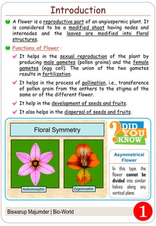 Parts of a Flower, their Functions and Pollination, Science Lesson