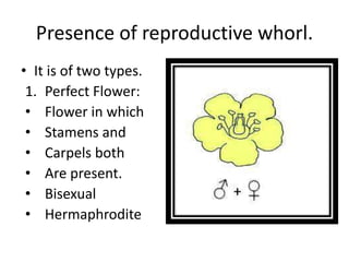 Presence of reproductive whorl.
• It is of two types.
1. Perfect Flower:
• Flower in which
• Stamens and
• Carpels both
• Are present.
• Bisexual
• Hermaphrodite
 