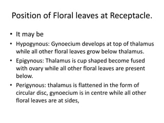Position of Floral leaves at Receptacle.
• It may be
• Hypogynous: Gynoecium develops at top of thalamus
while all other floral leaves grow below thalamus.
• Epigynous: Thalamus is cup shaped become fused
with ovary while all other floral leaves are present
below.
• Perigynous: thalamus is flattened in the form of
circular disc, gynoecium is in centre while all other
floral leaves are at sides,
 