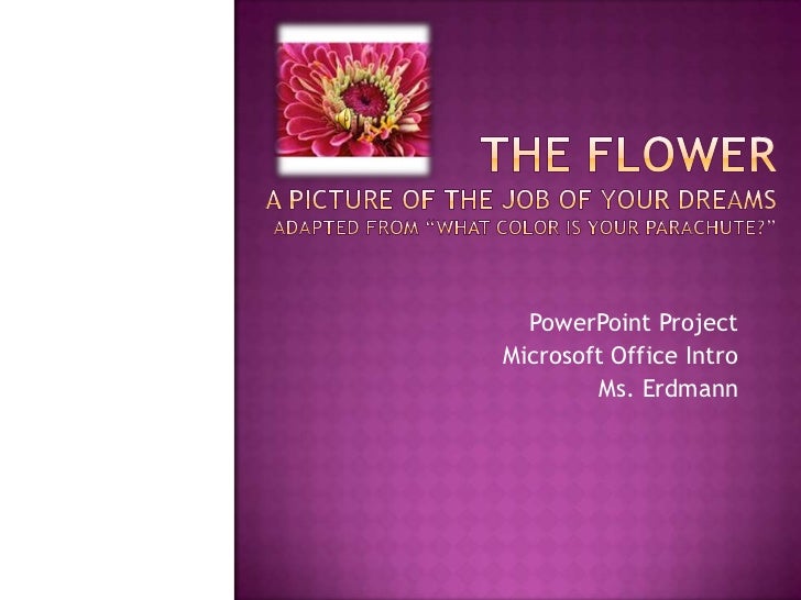 career project powerpoint