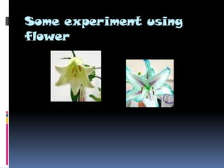 Some experiment using
flower