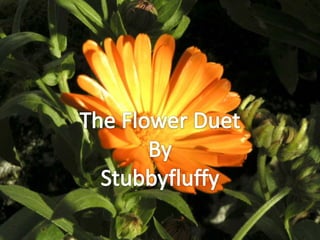The Flower Duet By Stubbyfluffy 