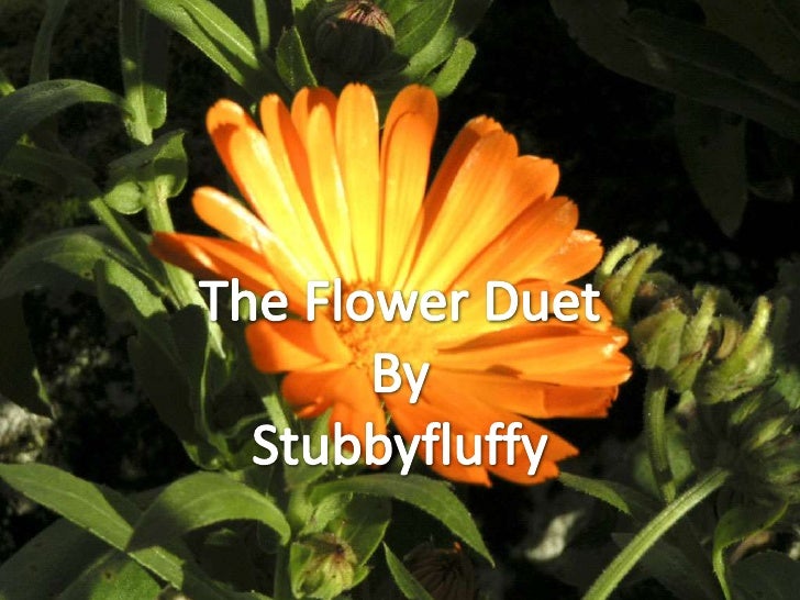 The Flower Duet