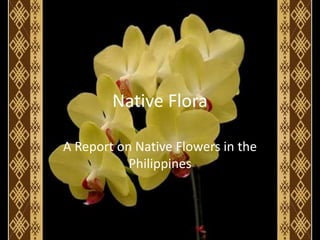 Native Flora
A Report on Native Flowers in the
Philippines
 
