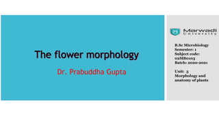 The flower morphology
Dr. Prabuddha Gupta
B.Sc Microbiology
Semester: 1
Subject code:
02MB0103
Batch: 2020-2021
Unit: 3
Morphology and
anatomy of plants
 