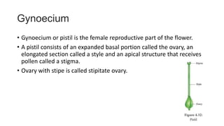 Gynoecium
• Gynoecium or pistil is the female reproductive part of the flower.
• A pistil consists of an expanded basal portion called the ovary, an
elongated section called a style and an apical structure that receives
pollen called a stigma.
• Ovary with stipe is called stipitate ovary.
 