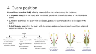 4. Ovary position
Hypanthium: (staminal disk); a fleshy, elevated often nectariferous cup like thalamus.
• 1. Superior ovary: It is the ovary with the sepals, petals and stamens attached at the base of the
ovary.
• 2. Inferior ovary: It is the ovary with the sepals, petals and stamens attached at the apex of the
ovary.
• 3. Half-inferior ovary: It is the ovary with the sepals, petals and stamens or hypanthium attached
near the middle of the ovary.
 