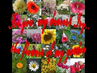 For you, my dearest Isy,, the flowers of my garden 