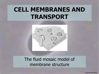 CELL MEMBRANES AND
CELL MEMBRANES AND
TRANSPORT
TRANSPORT
The fluid mosaic model of
The fluid mosaic model of
membrane structure
membrane structure
ALBIO9700/2006JK
 