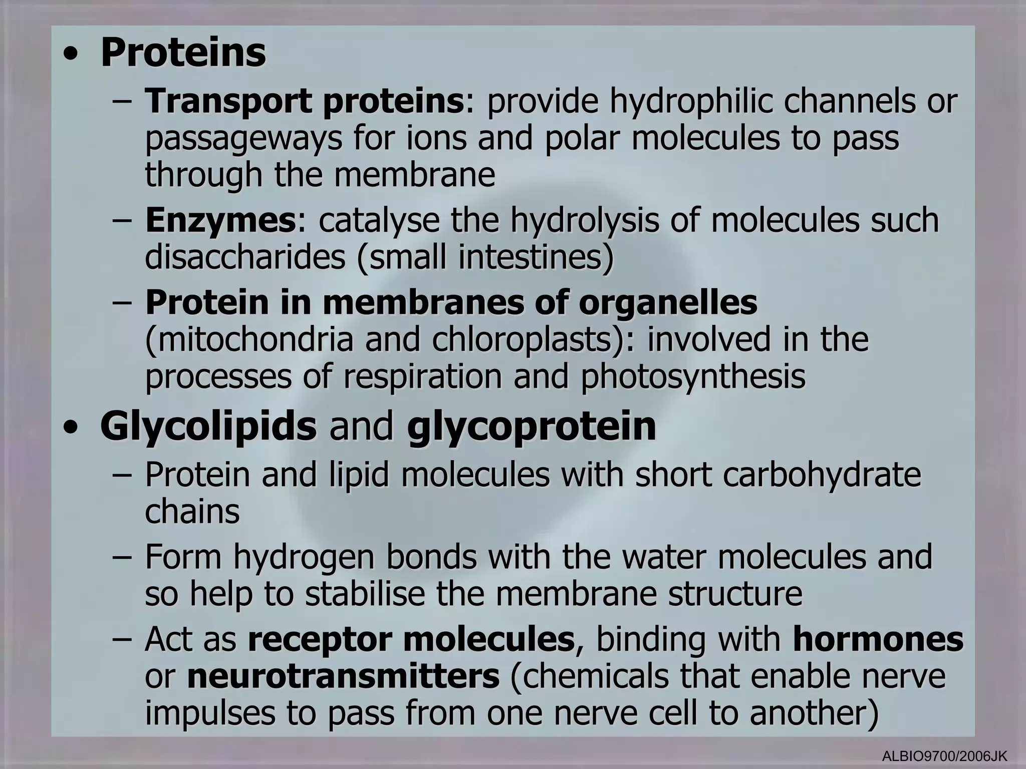 • Proteins
  – Transport proteins: provide hydrophilic channels or
    passageways for ions and polar molecules to pass
    through the membrane
  – Enzymes: catalyse the hydrolysis of molecules such
    disaccharides (small intestines)
  – Protein in membranes of organelles
    (mitochondria and chloroplasts): involved in the
    processes of respiration and photosynthesis
• Glycolipids and glycoprotein
  – Protein and lipid molecules with short carbohydrate
    chains
  – Form hydrogen bonds with the water molecules and
    so help to stabilise the membrane structure
  – Act as receptor molecules, binding with hormones
    or neurotransmitters (chemicals that enable nerve
    impulses to pass from one nerve cell to another)
                                                  ALBIO9700/2006JK
 