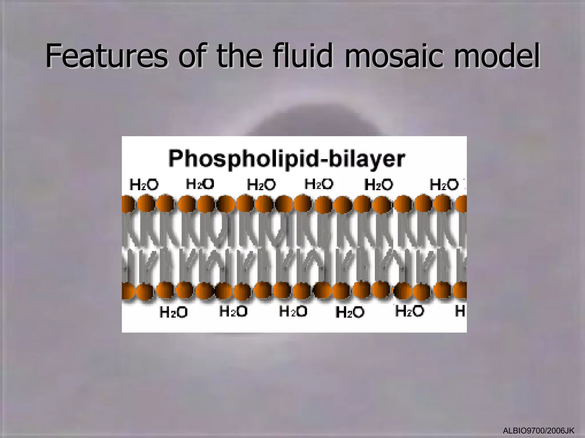 Features of the fluid mosaic model




                               ALBIO9700/2006JK
 