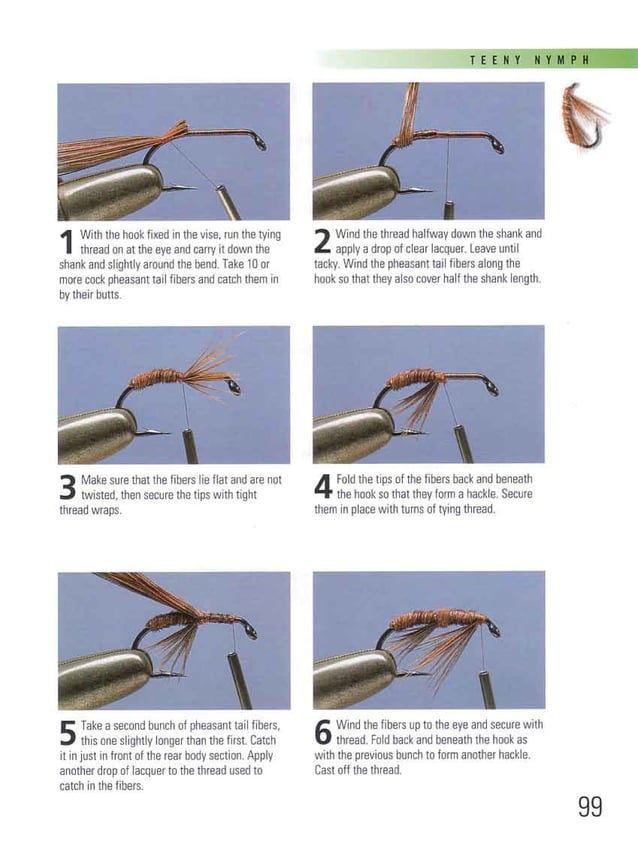 The fly tying bible por Peter Gathercole