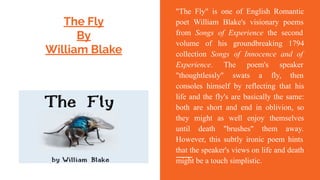 The Fly
By
William Blake
"The Fly" is one of English Romantic
poet William Blake's visionary poems
from Songs of Experience the second
volume of his groundbreaking 1794
collection Songs of Innocence and of
Experience. The poem's speaker
"thoughtlessly" swats a fly, then
consoles himself by reflecting that his
life and the fly's are basically the same:
both are short and end in oblivion, so
they might as well enjoy themselves
until death "brushes" them away.
However, this subtly ironic poem hints
that the speaker's views on life and death
might be a touch simplistic.
 